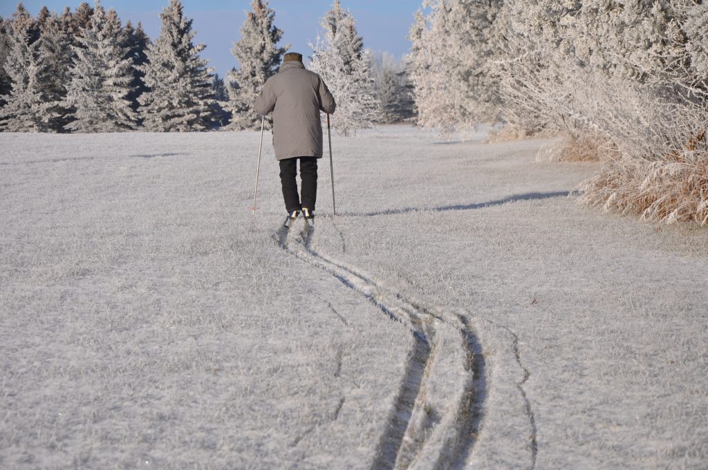 brwolfgang_skiing_201612041