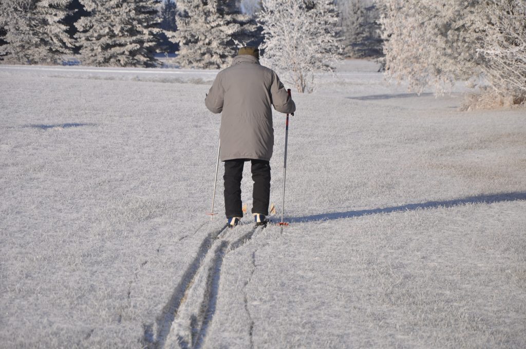 brwolfgang_skiing_201612042